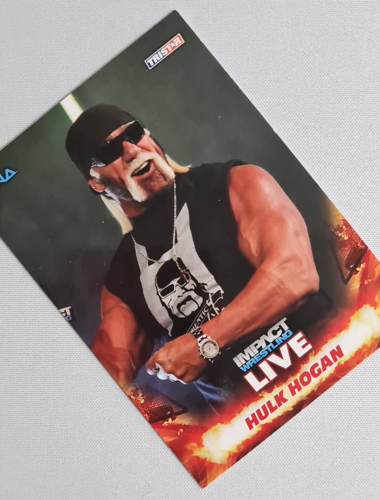 Hulk Hogan - 2013 Tristar TNA Impact #1