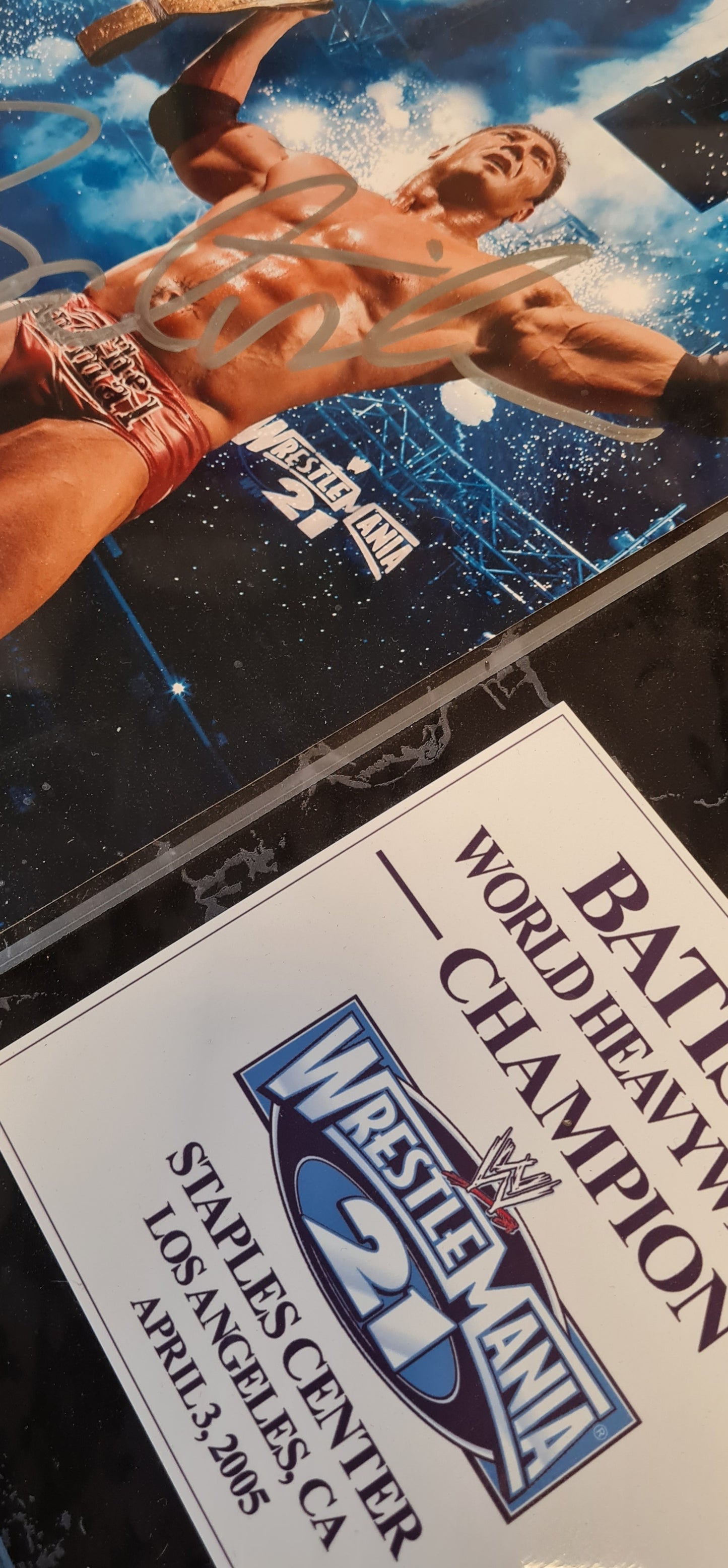 Batista - WWE Superstar Autograph Picture in frame with Blood on canvas WrestleMania 21