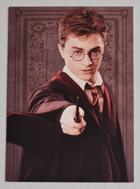 Harry Potter - Panini (italy) Wizarding World WB - Evolution Trading Card - #19